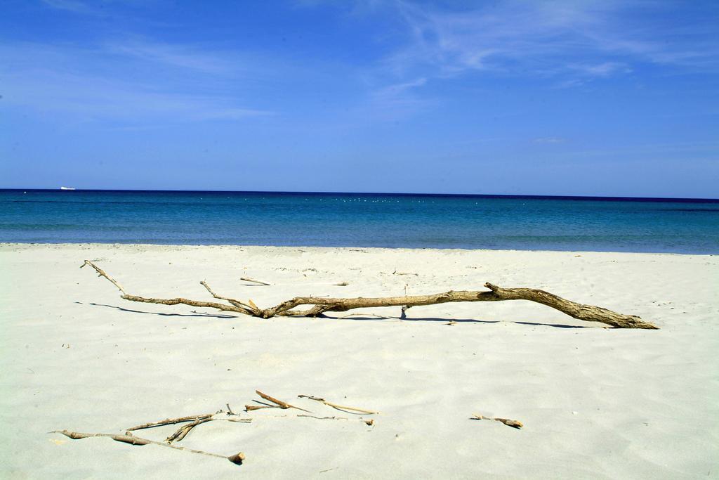 Su Cannonariu โอโรเซย ภายนอก รูปภาพ